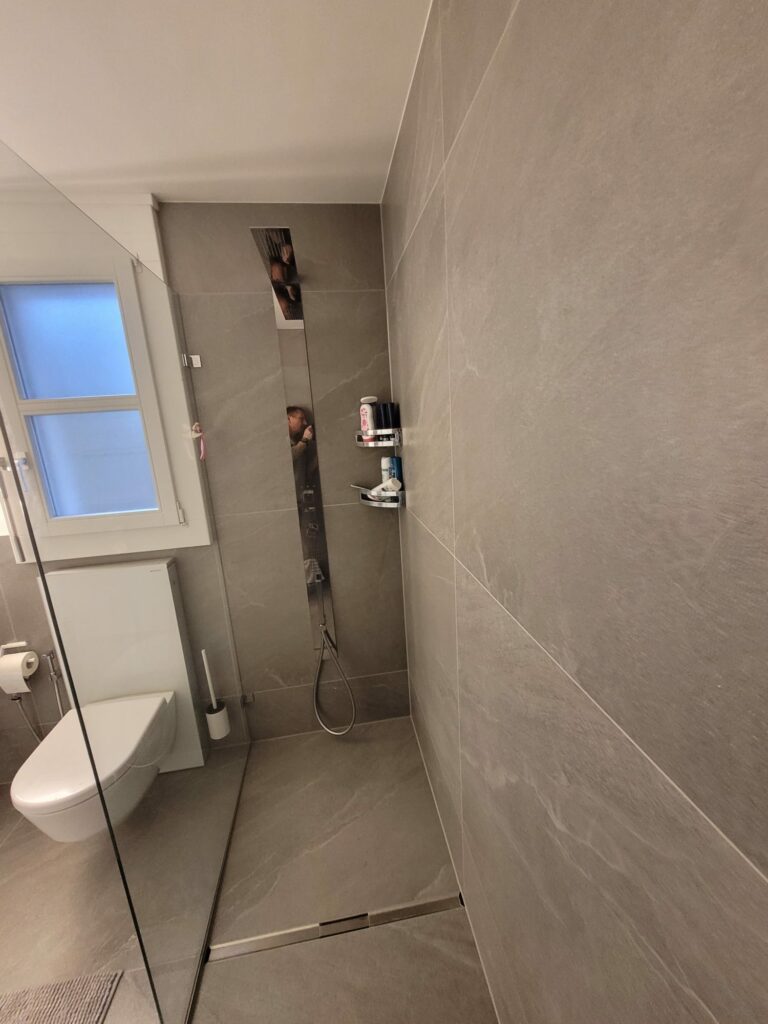 Modernes Badezimmer mit Walk-in-Lösungen.